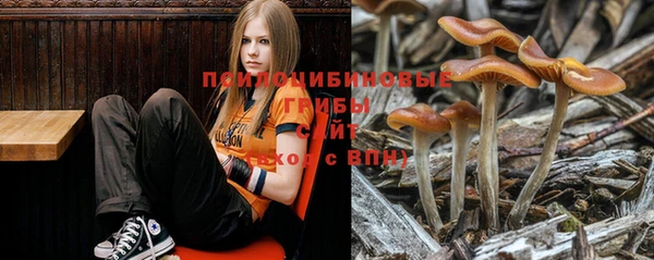 первитин Белоозёрский