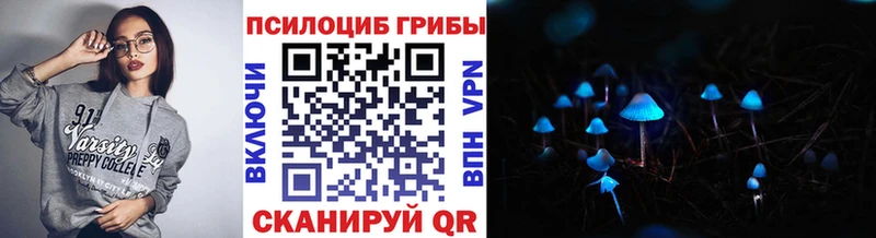 закладка  Волоколамск  Псилоцибиновые грибы ЛСД 